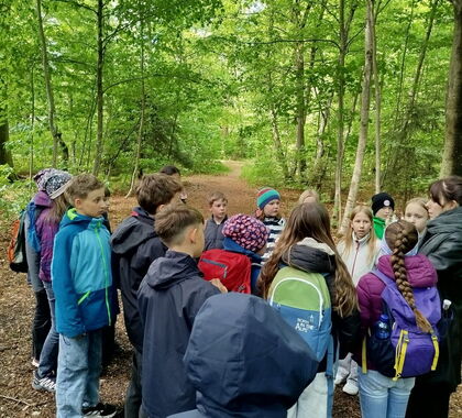 Die Klasse zusammen im Wald