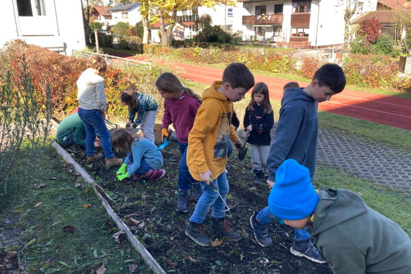Schulkinder bei der Gartenpflege