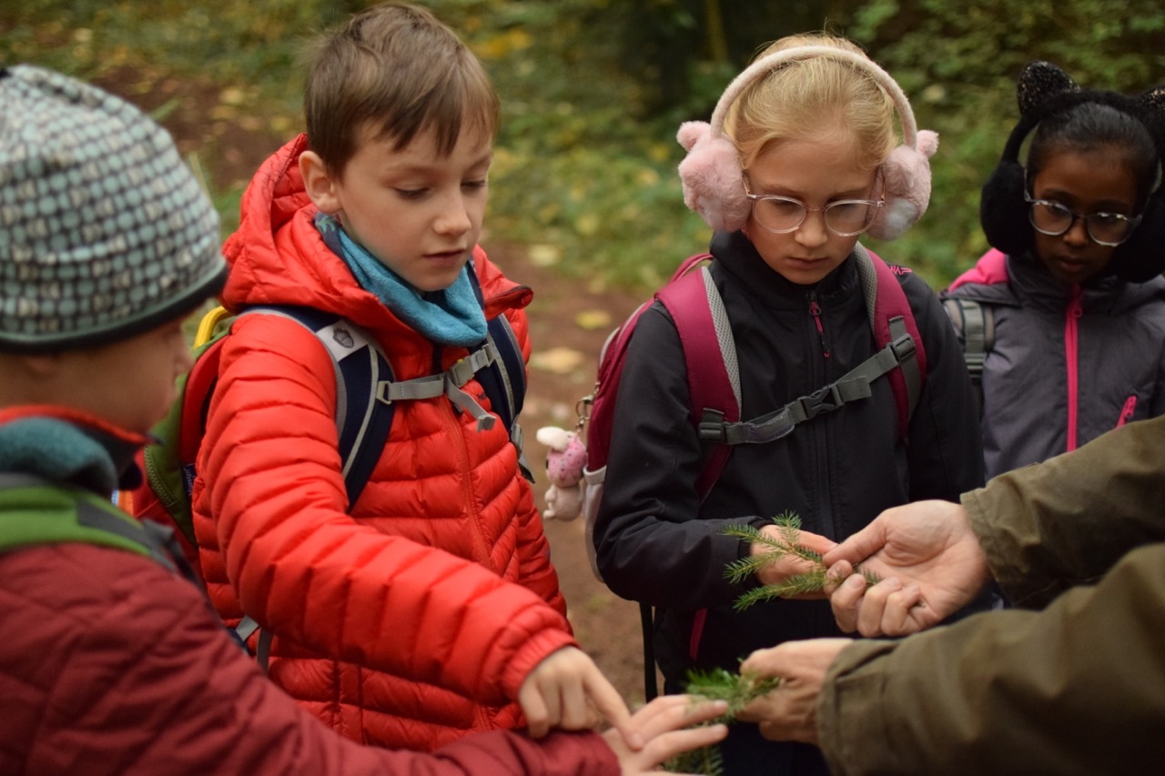 Walderlebnistag 25 1