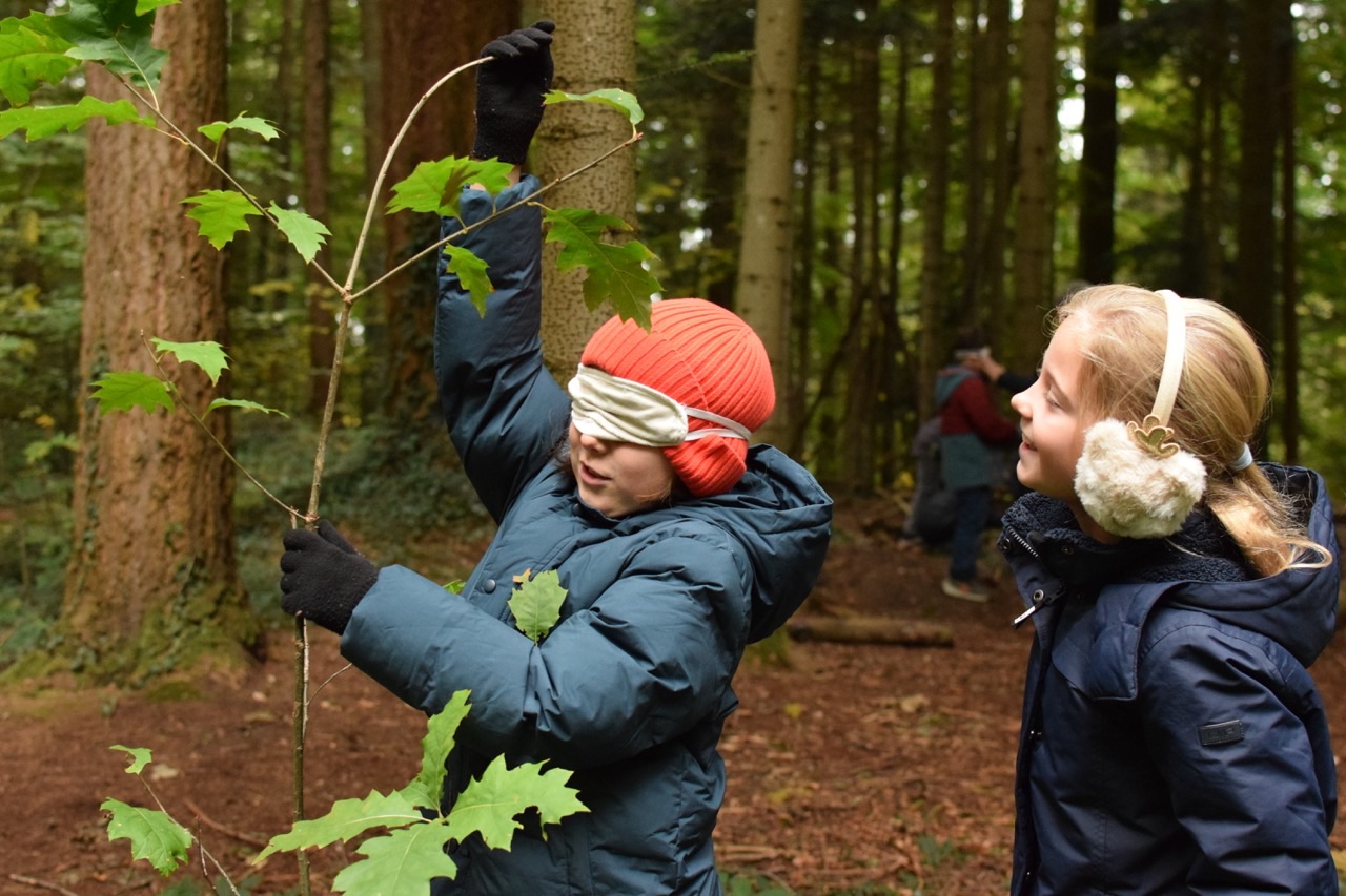 Walderlebnistag 25 3